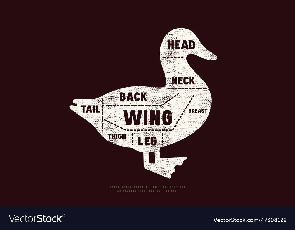 Duck Cuts Diagram In Silhouette Style Royalty Free Vector