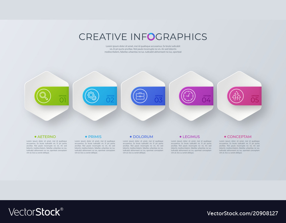 Contemporary minimalist infographic design vector image Contemporary minimalist infographic design