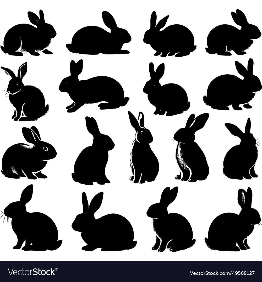 Isolated rabbit on white background set Royalty Free Vector