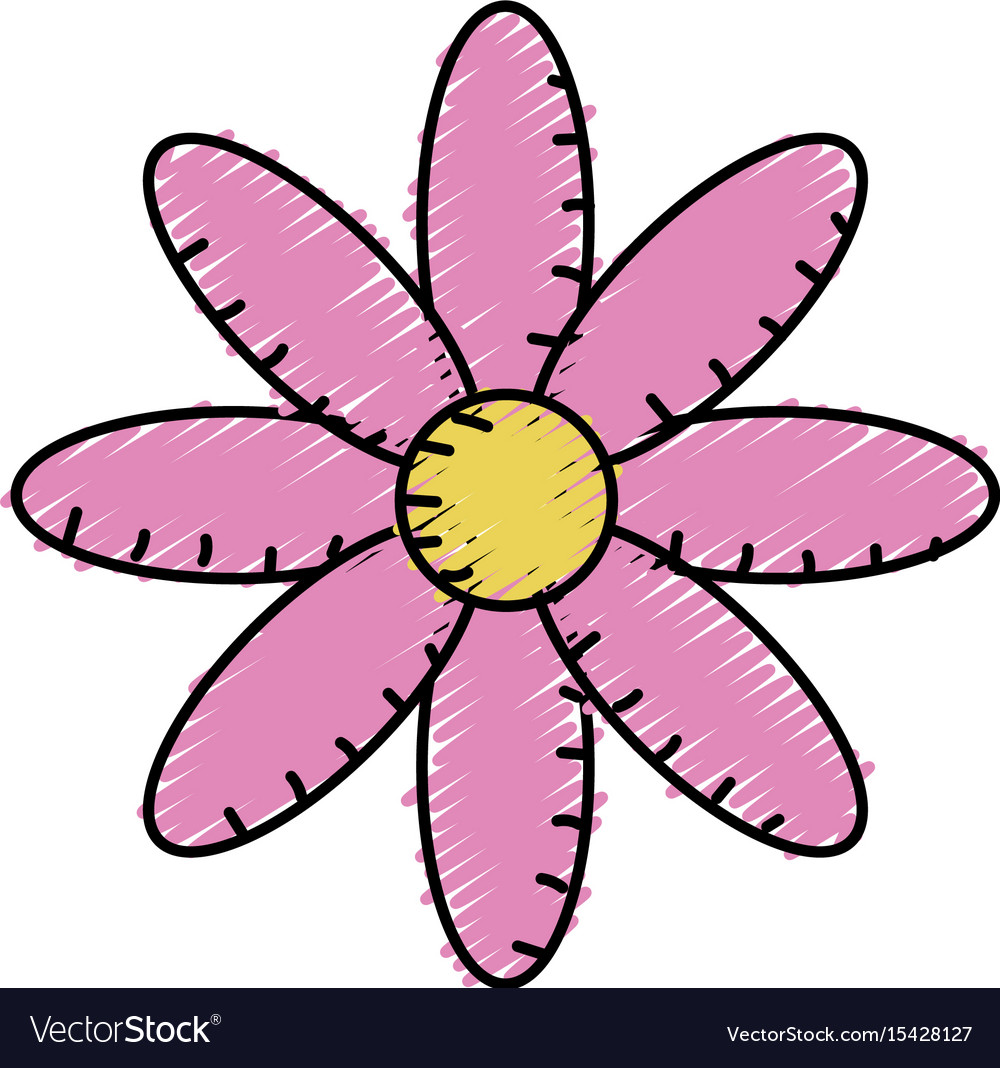 Natural flower plant with petals Royalty Free Vector Image