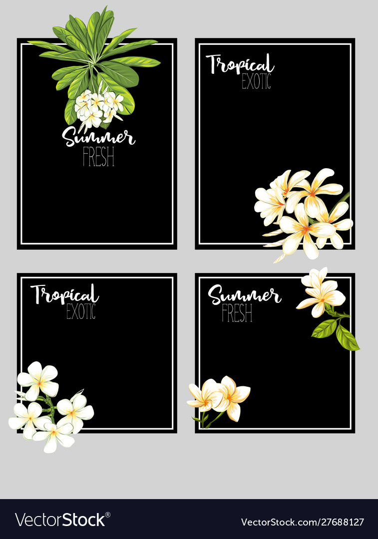 Set text boxes for bullet journal or notes vector image Set text boxes for bullet journal or notes