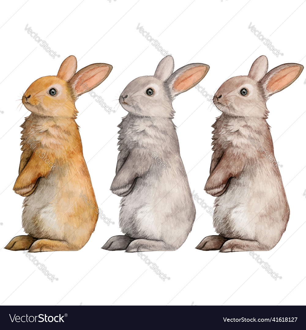 Watercolor hand drawn bunny collection Royalty Free Vector