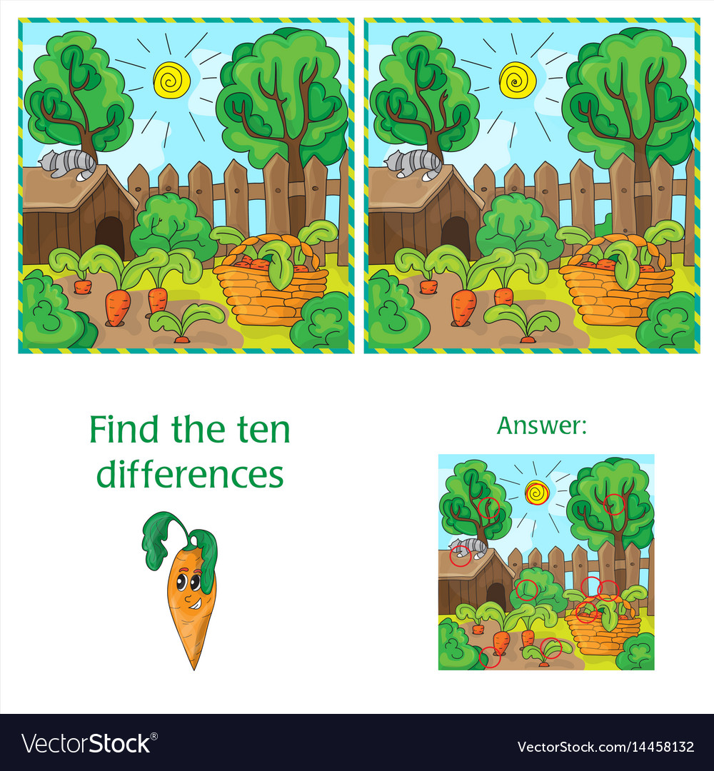 Find differences between two images carrots in Vector Image