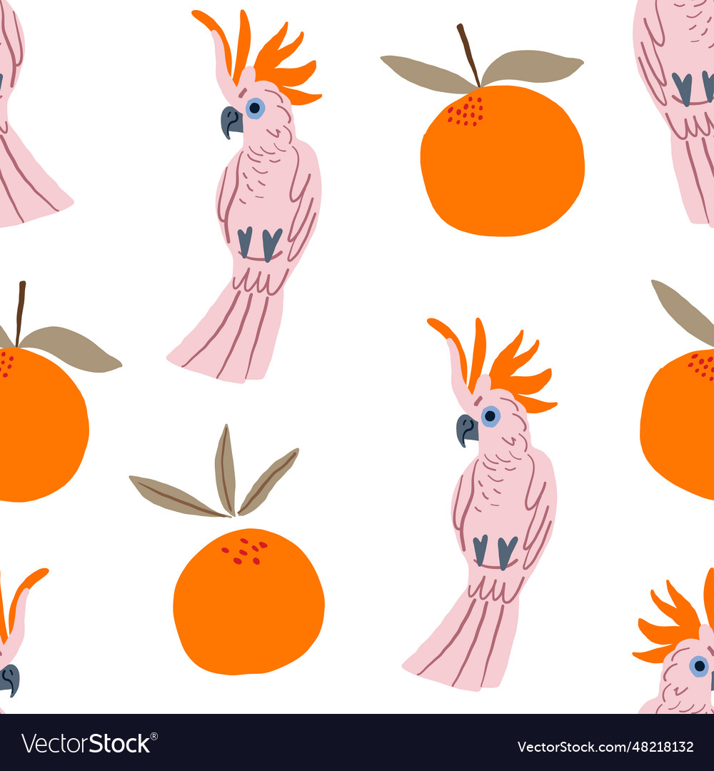 Parrots and oranges pattern on white background vector image Parrots and oranges pattern on white background