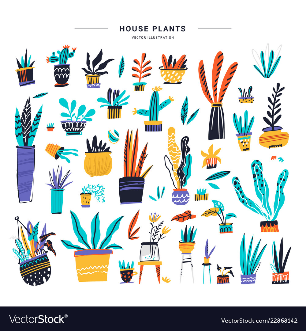 House plants color hand drawn set Royalty Free Vector Image