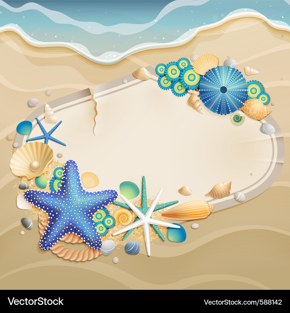 Shells and starfishes Royalty Free Vector Image