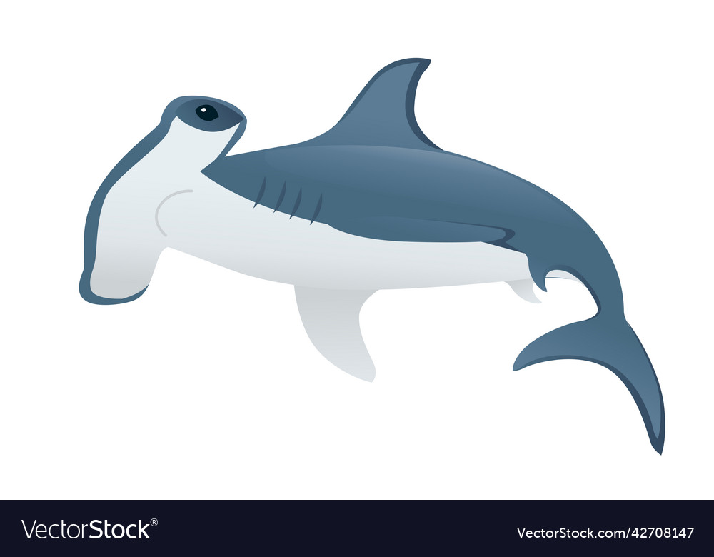 Hammerhead shark underwater giant animal simple