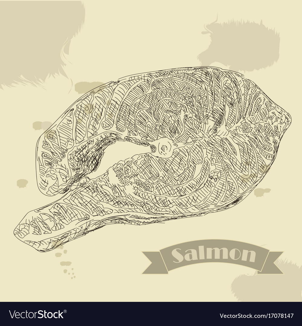 Salmon fillet hand drawn