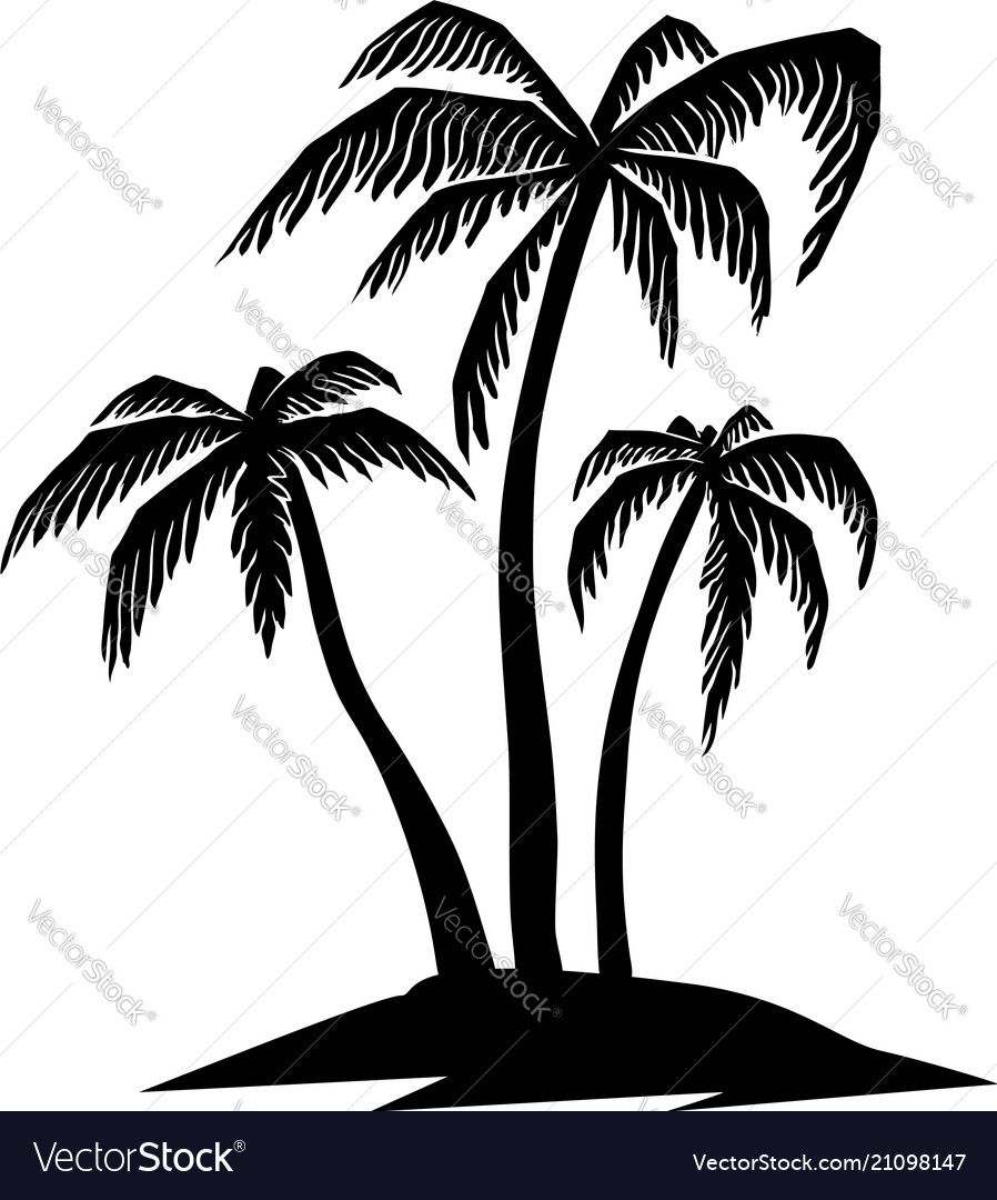 Set of hand drawn palm tree design element for Vector Image