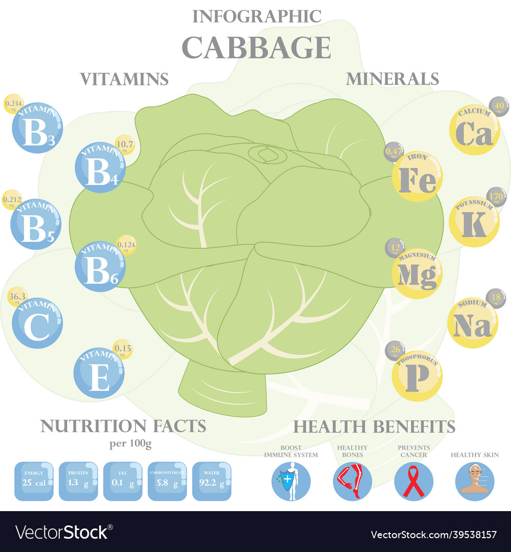Red Cabbage Nutrition Facts And Health Benefits Infographic 60 OFF