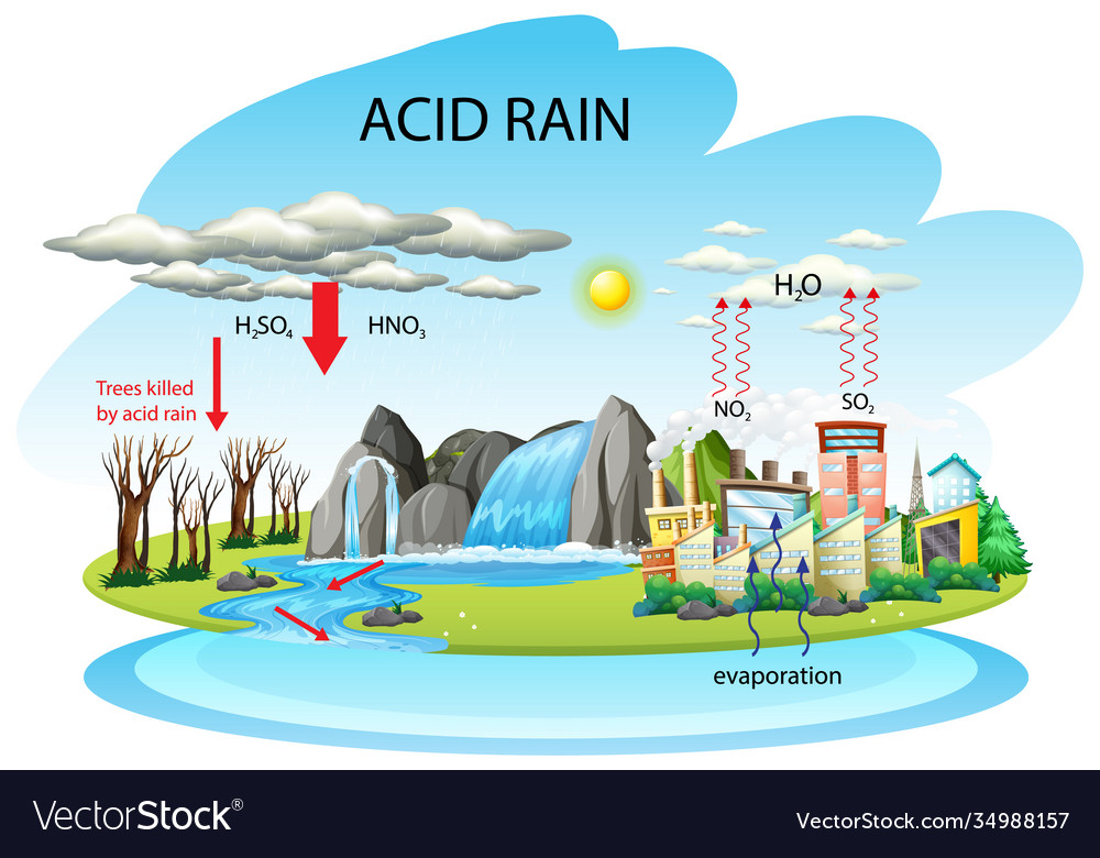 Acid rain effects easy drawing steps for making kids school science project  poster charts 16  YouTube