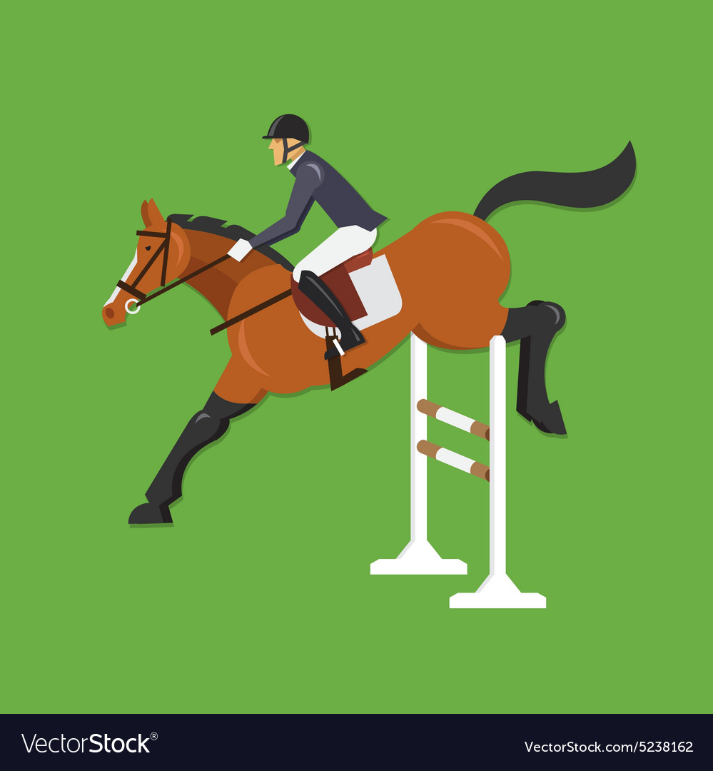 Horse jumping over fence equestrian sport Vector Image