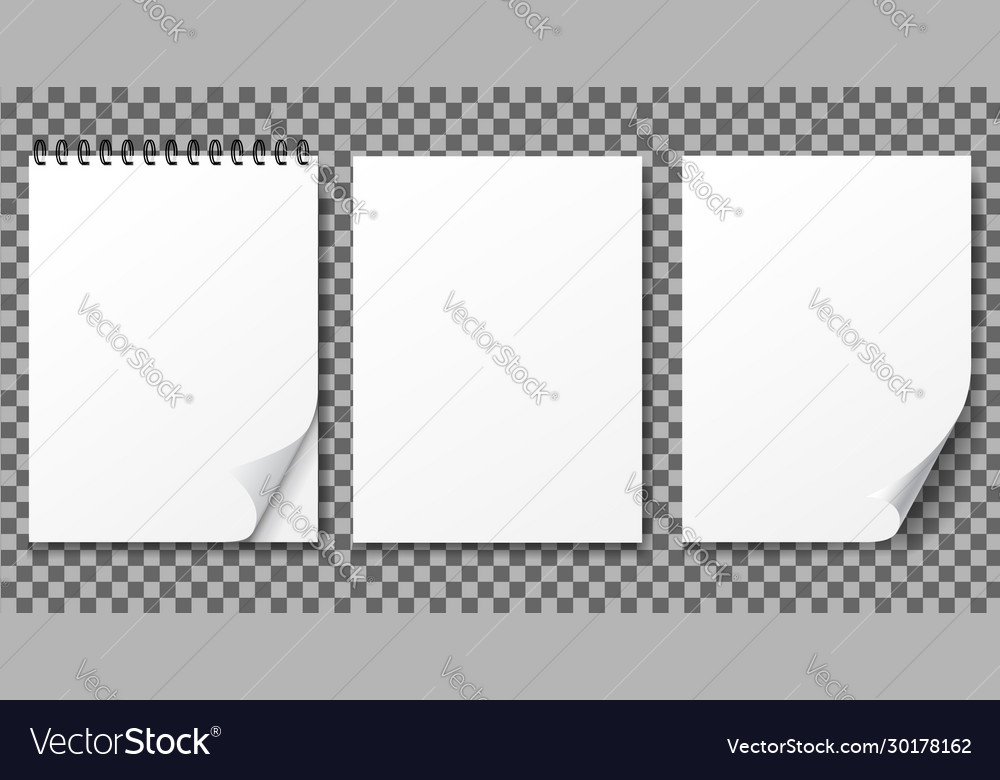 Realistic notebook and a4 paper blank notepad vector image Realistic notebook and a4 paper blank notepad