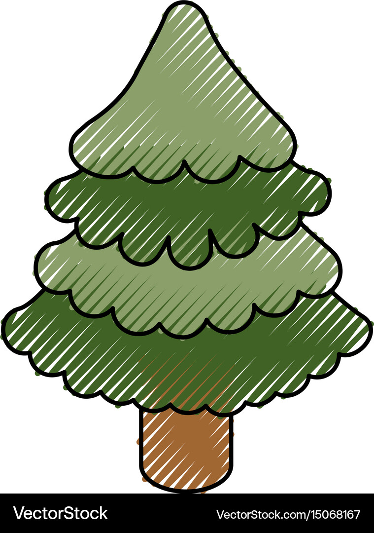Tree pine christmas Royalty Free Vector Image - VectorStock