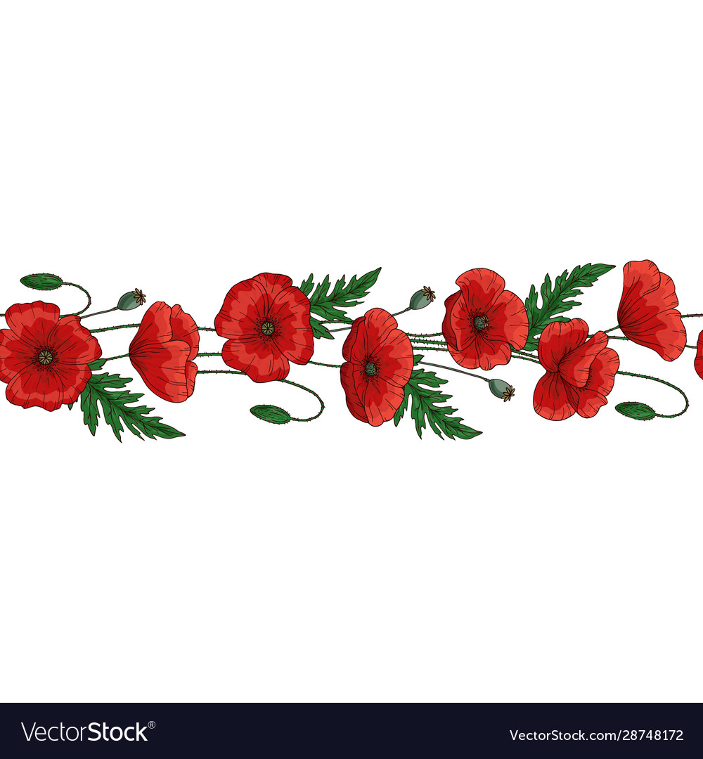 Seamless brush border red poppy flowers Royalty Free Vector