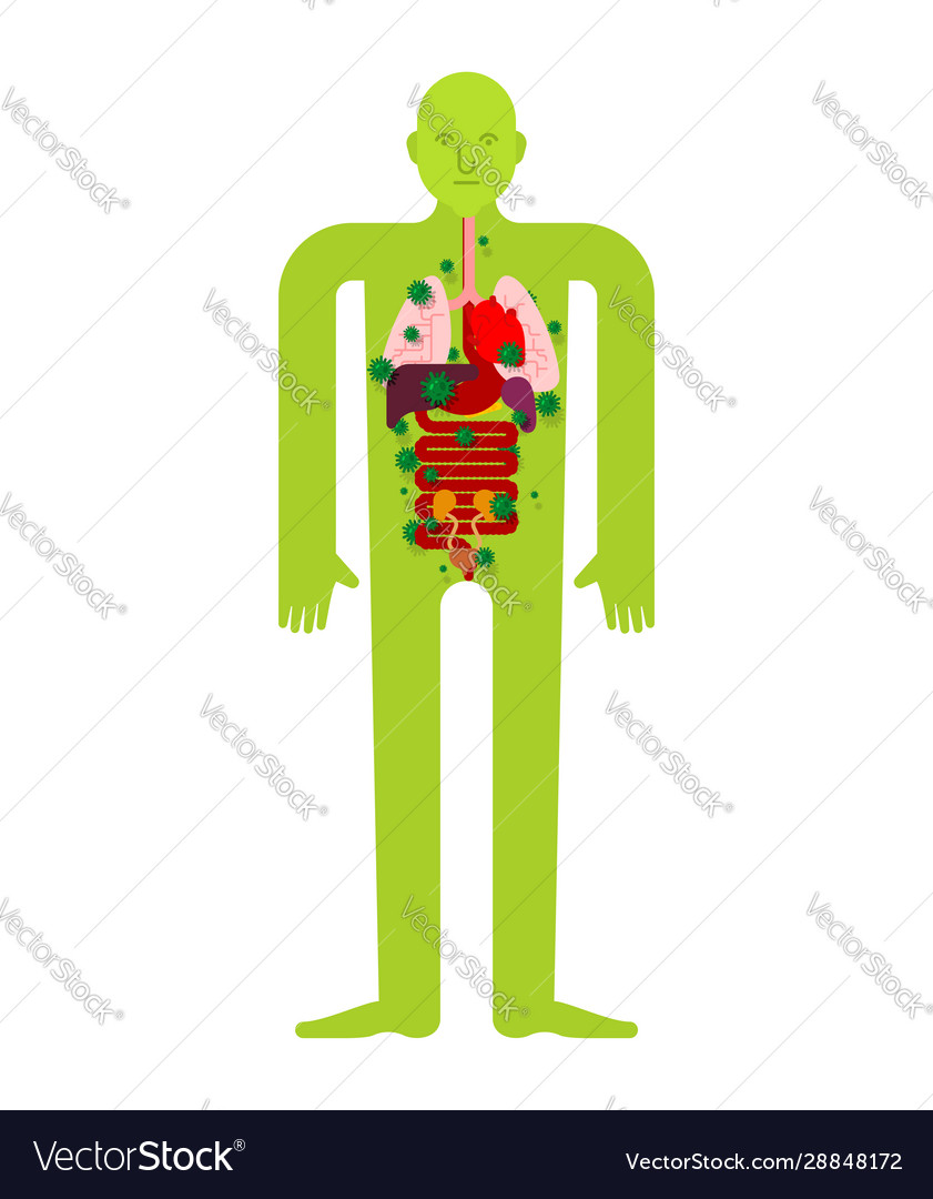 Sick internal organ anatomy human disease