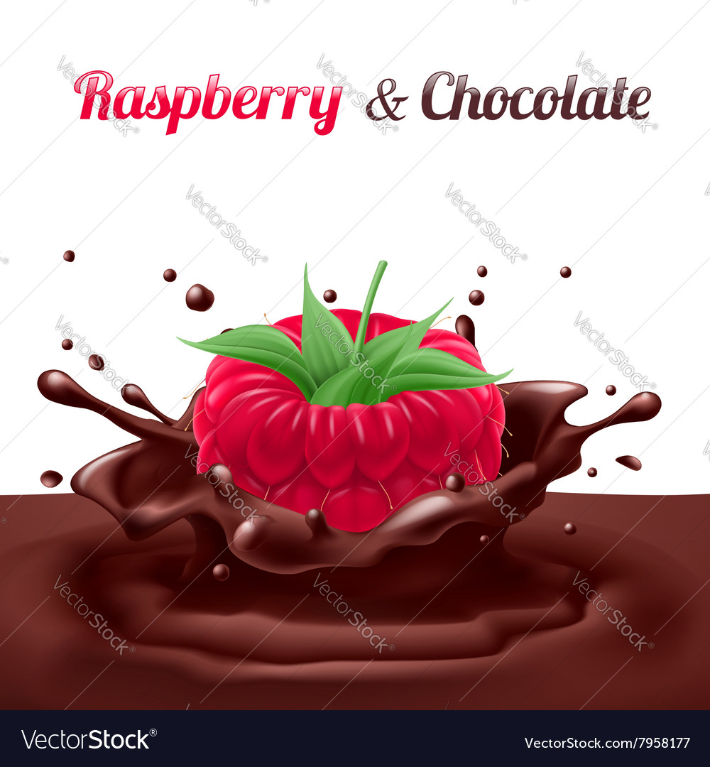 Chocolate Covered Raspberry Delight