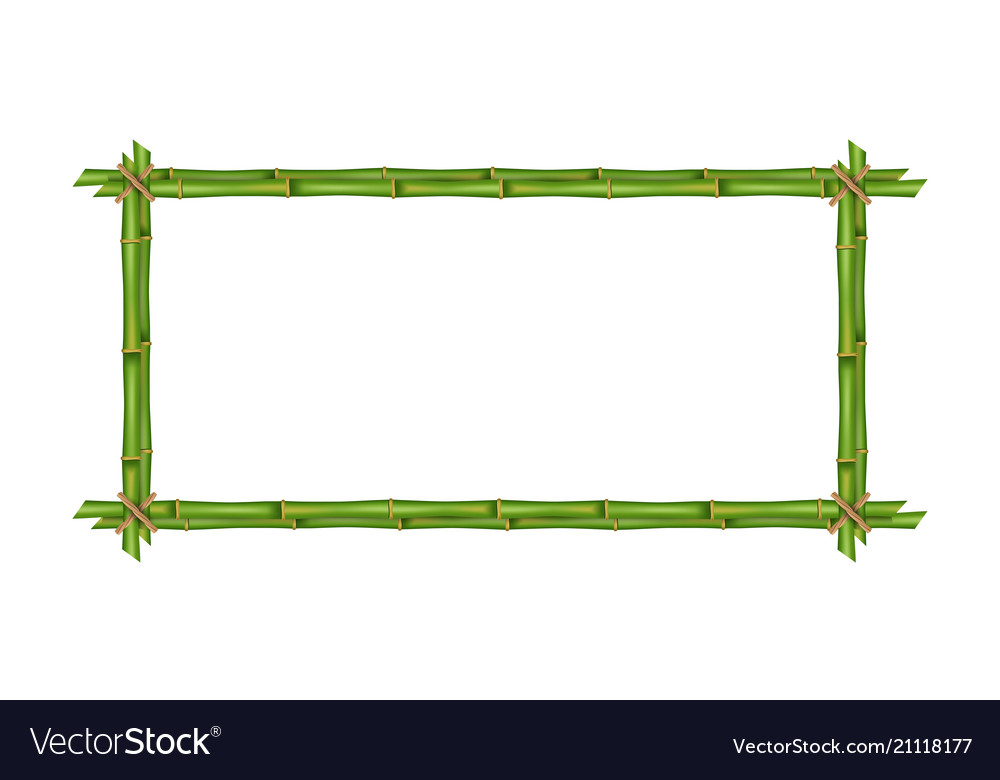 Creative of bamboo stems frame Royalty Free Vector Image