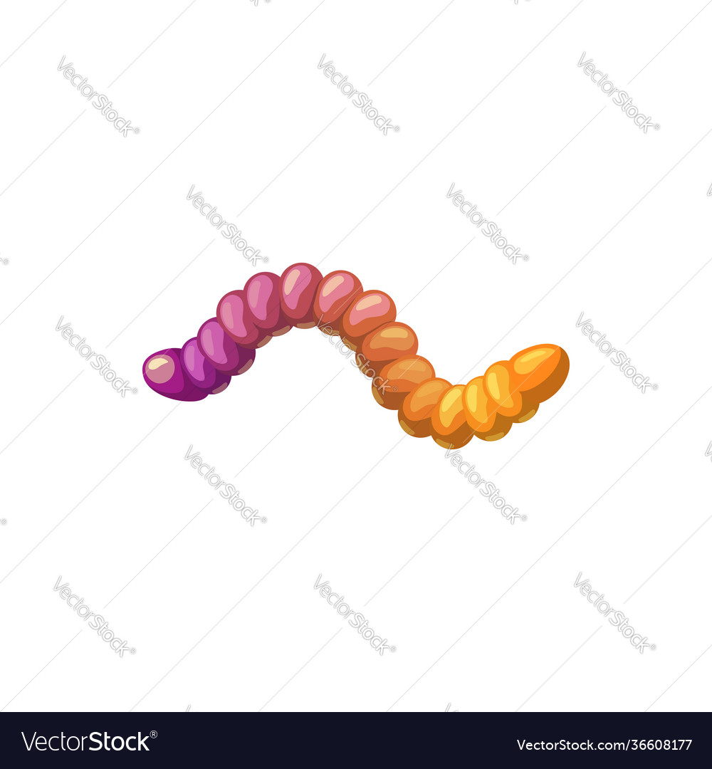 Gummy marmalade jelly worm or snake isolated candy