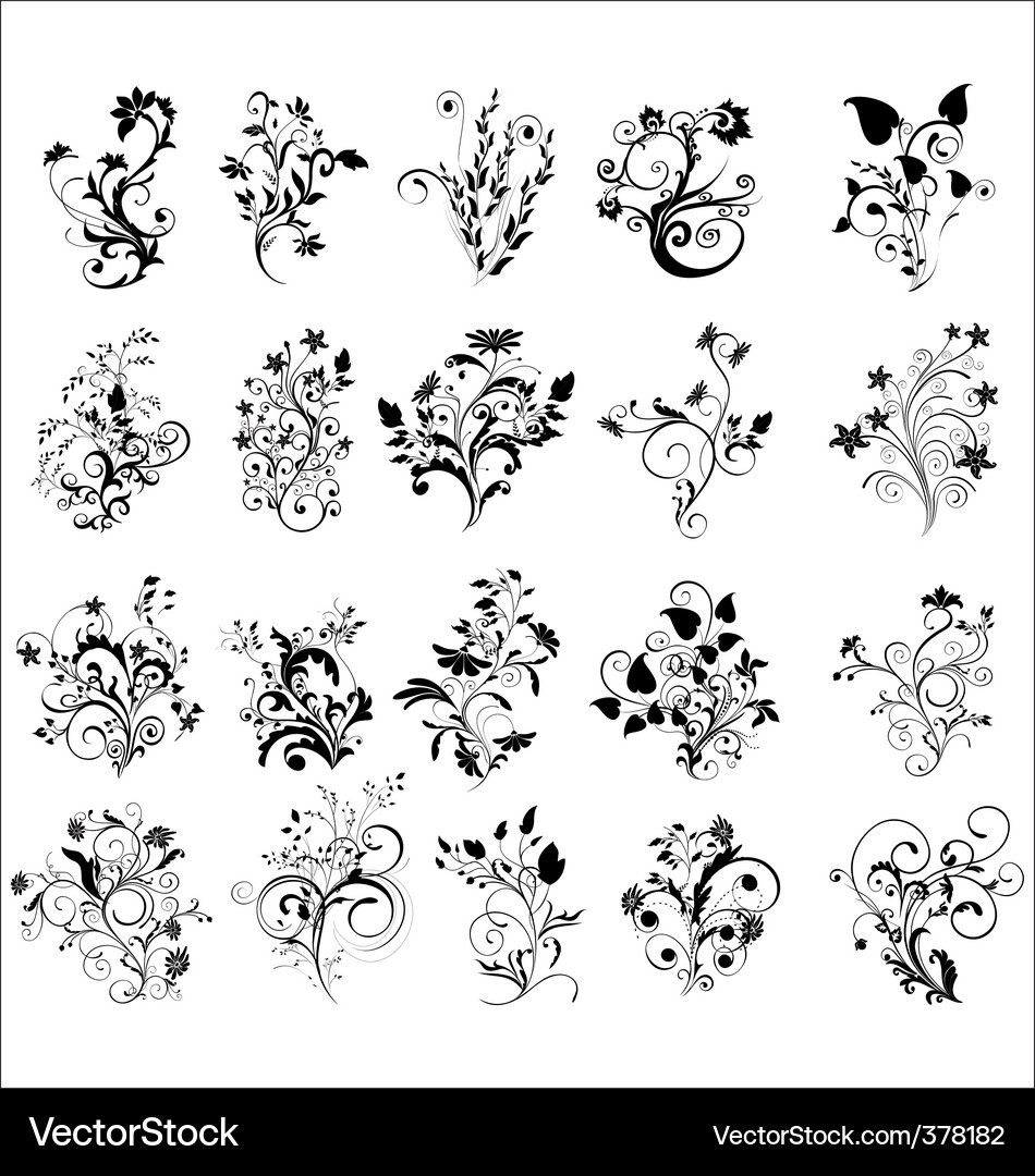 Floral elements for design Royalty Free Vector Image