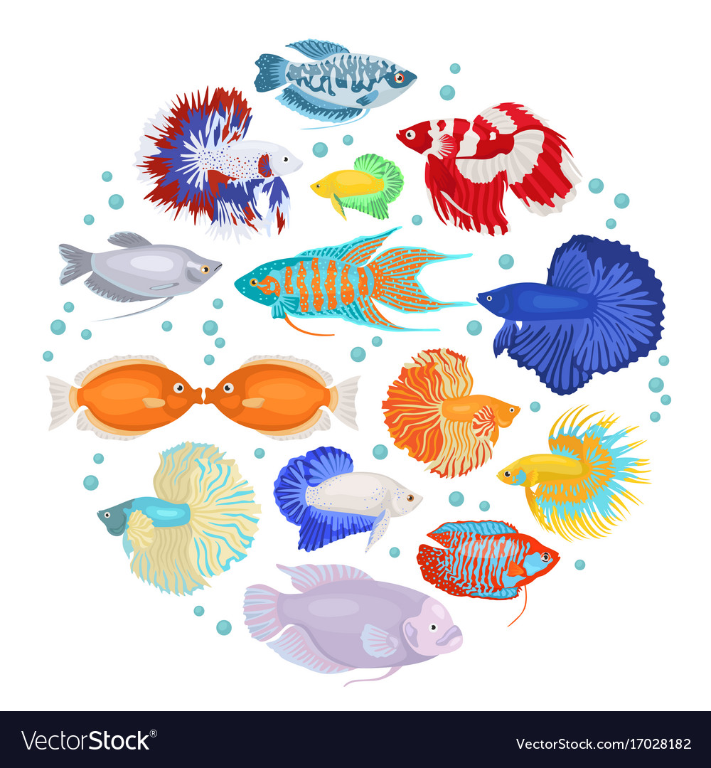 Freshwater aquarium fishes breeds icon set flat