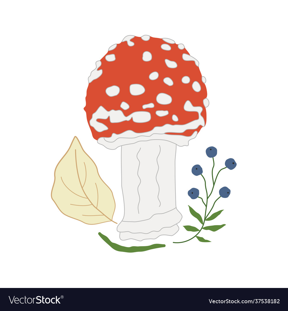 Mushroom amanita with yellow leaves and blueberry