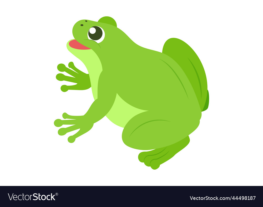 Cartoon green frog of green frog Royalty Free Vector Image