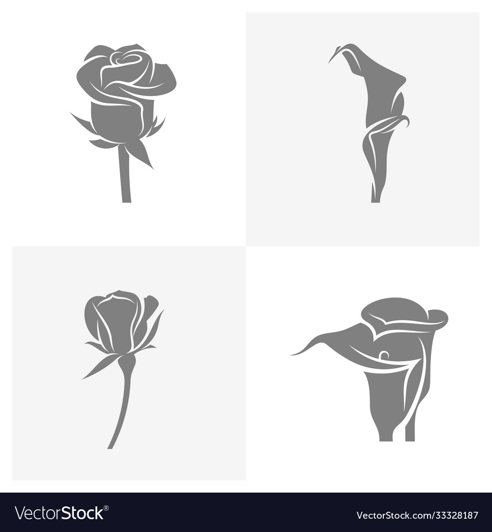 Set rose flower design logo template