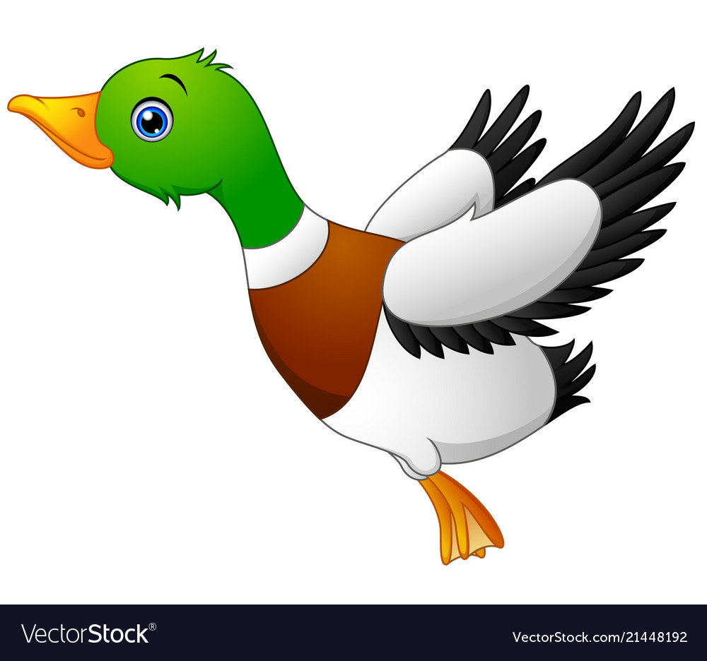 Cartoon Duck Flying Royalty Free Vector Image Vectorstock