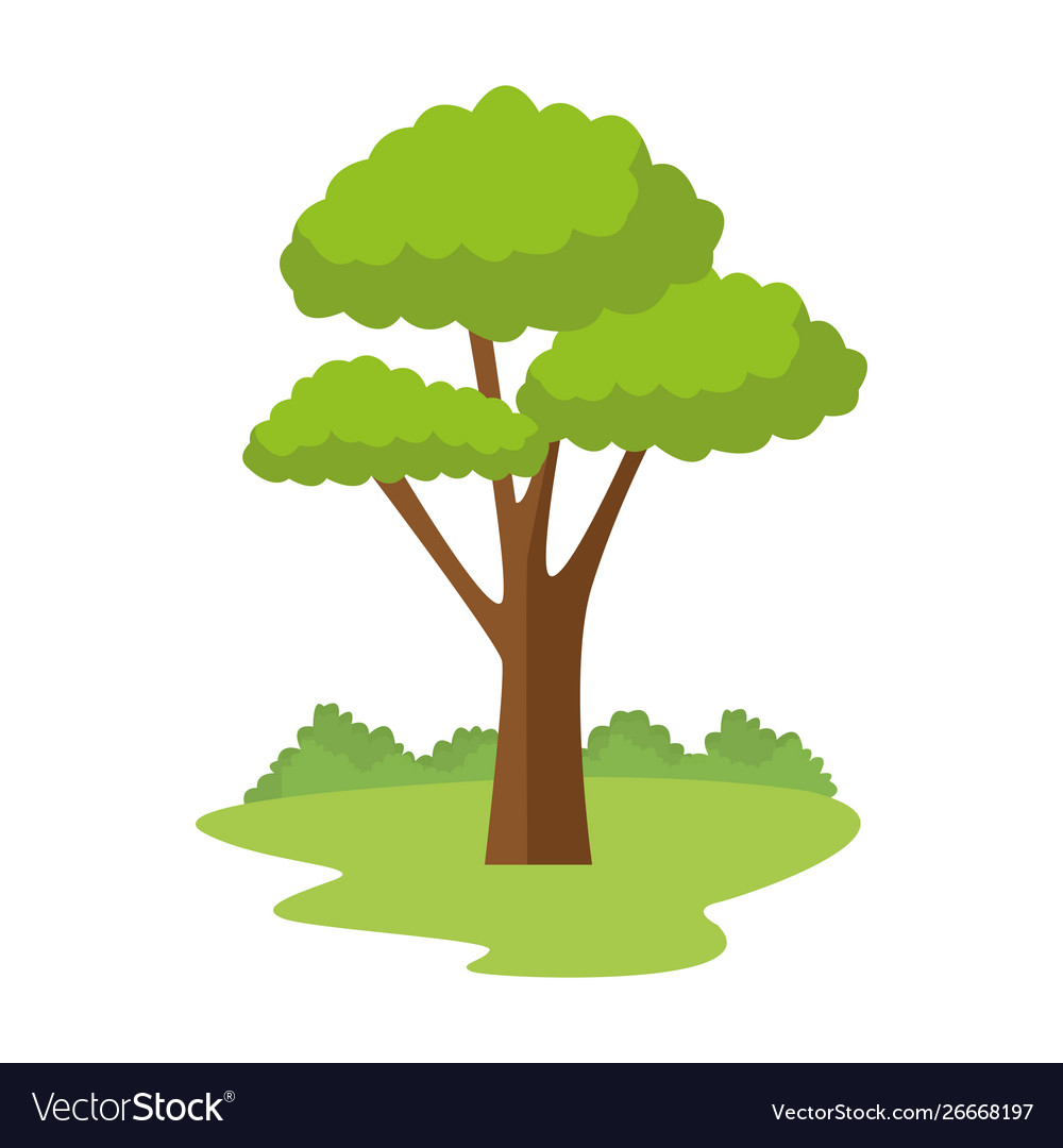 Tree with leaves nature cartoon Royalty Free Vector Image