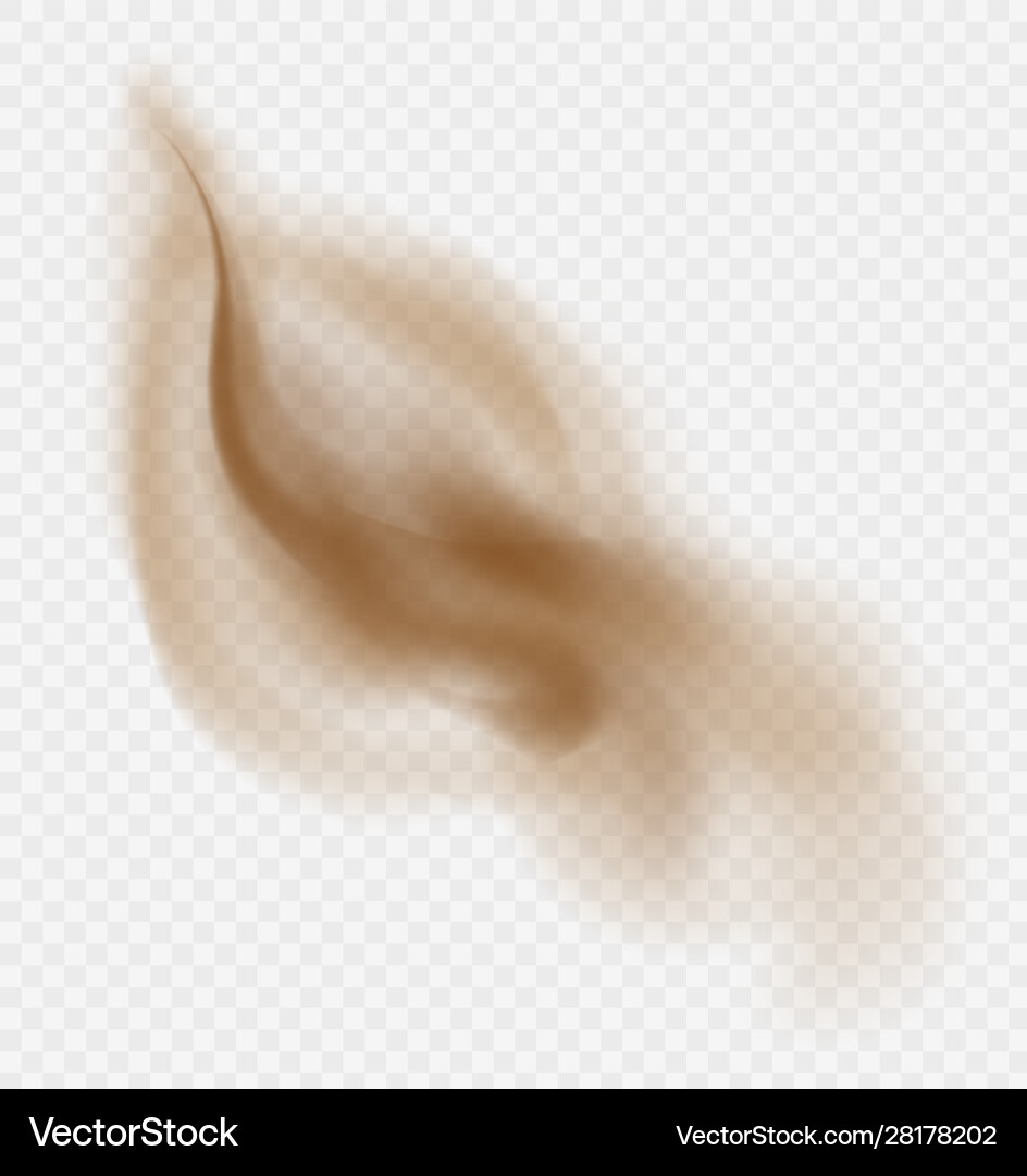 Dust cloud isolated on a transparent background Vector Image
