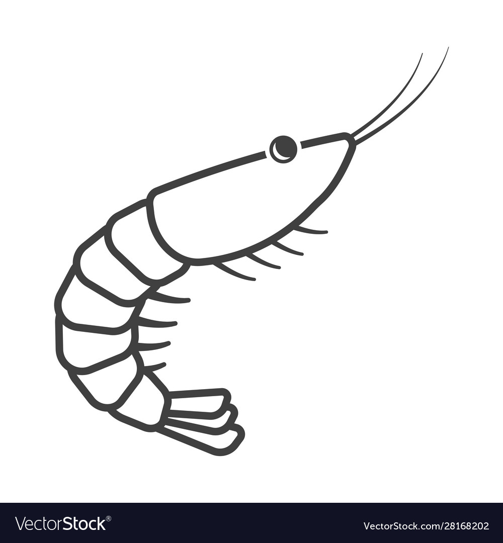 Shrimp icon linear execution simple isolated vector image Shrimp icon linear execution simple isolated