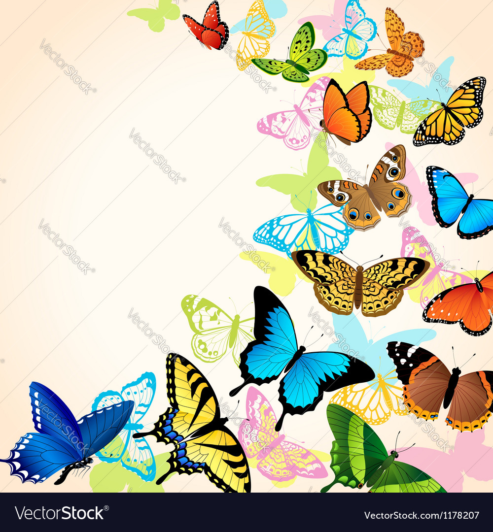 Butterfly card Royalty Free Vector Image - VectorStock