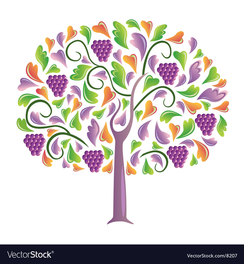 Grapes tree Royalty Free Vector Image VectorStock