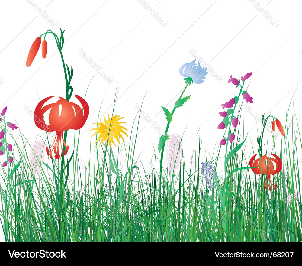 Grass background Royalty Free Vector Image - VectorStock