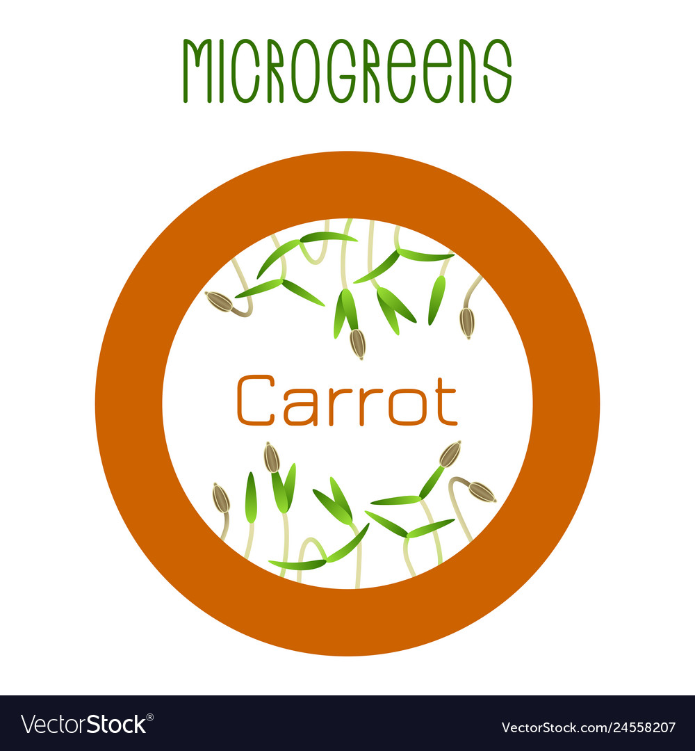 Microgreens carrot seed packaging design round