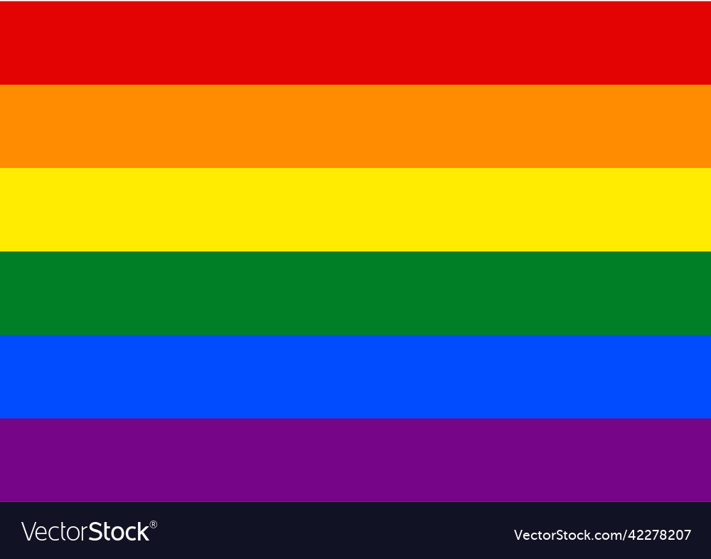 Rainbow flag pride symbol of the gay vector image Rainbow flag pride symbol of the gay