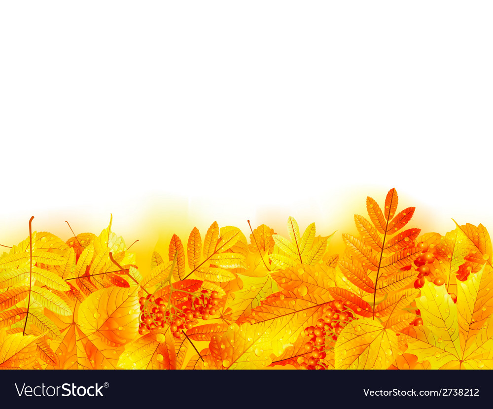 Autumn banner template with maple leaf