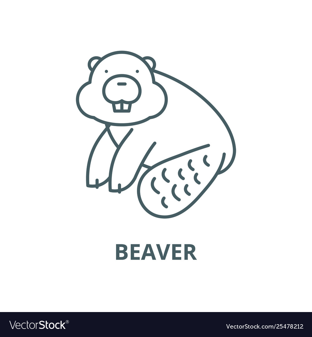 Символ бобра. Символ бобра. Символ бобра. Национальный символ канады бобр. Стилизованный бобер.
