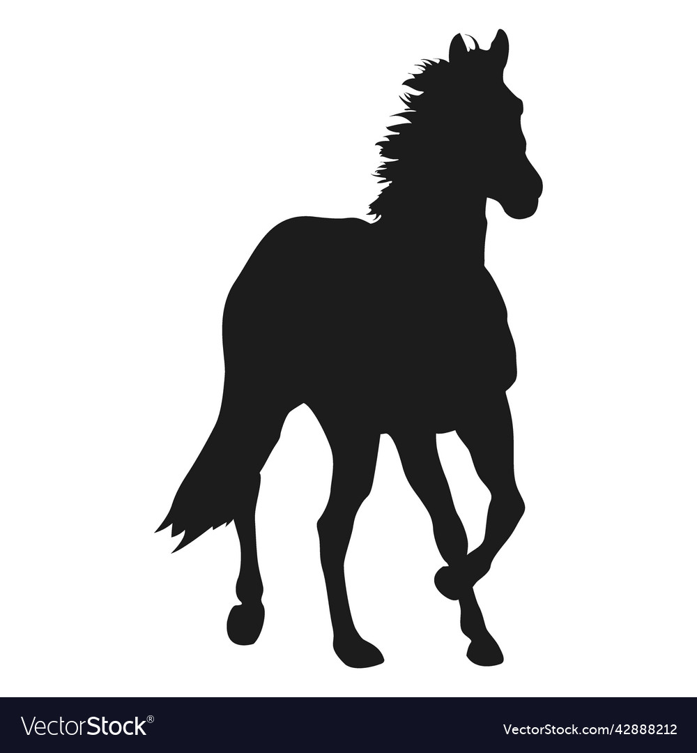 Pferd Silhouette - Elegant Schwarz