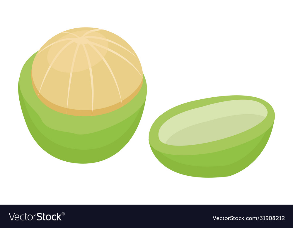 Macadamia or maroochi nut green core inside shell