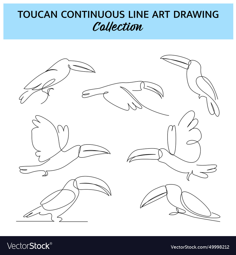 Set of toucan bird one continuous line drawing