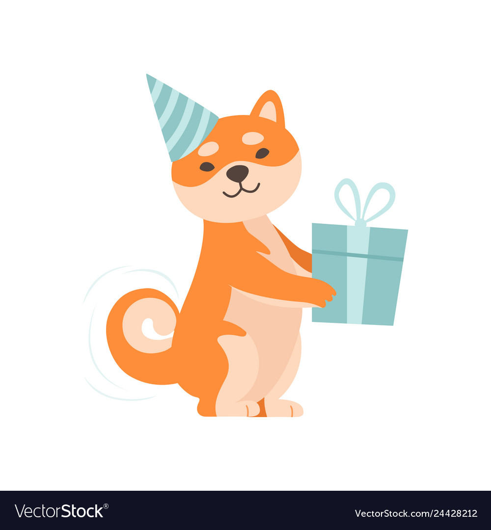Shiba inu dog in party hat holding gift box cute vector image Shiba inu dog in party hat holding gift box cute