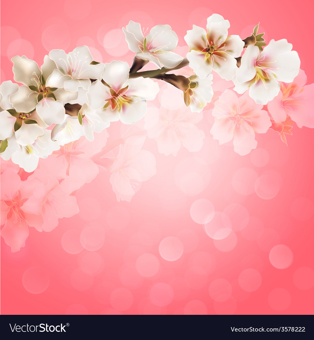 blooming tree branch with