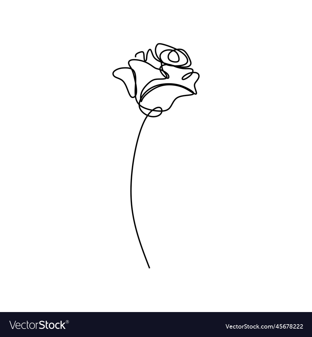 Continuous line art drawing of flower minimalist Vector Image