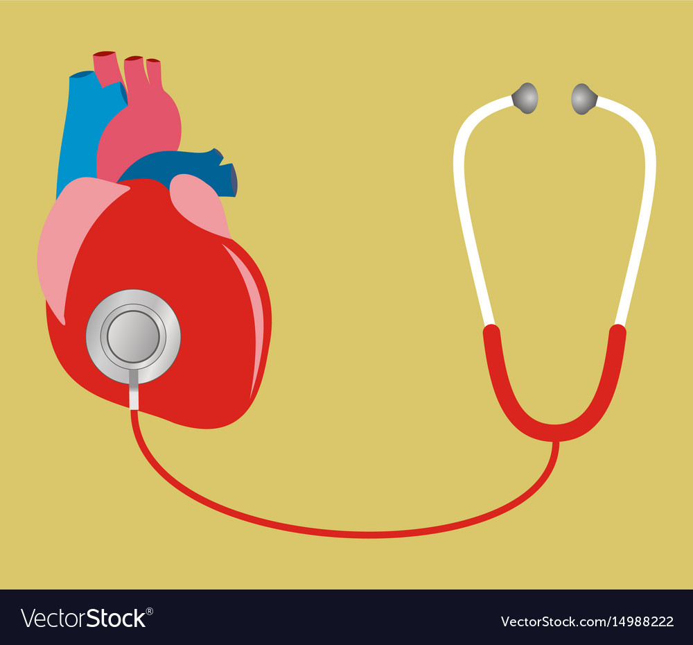 Heart with stethoscope test check internal
