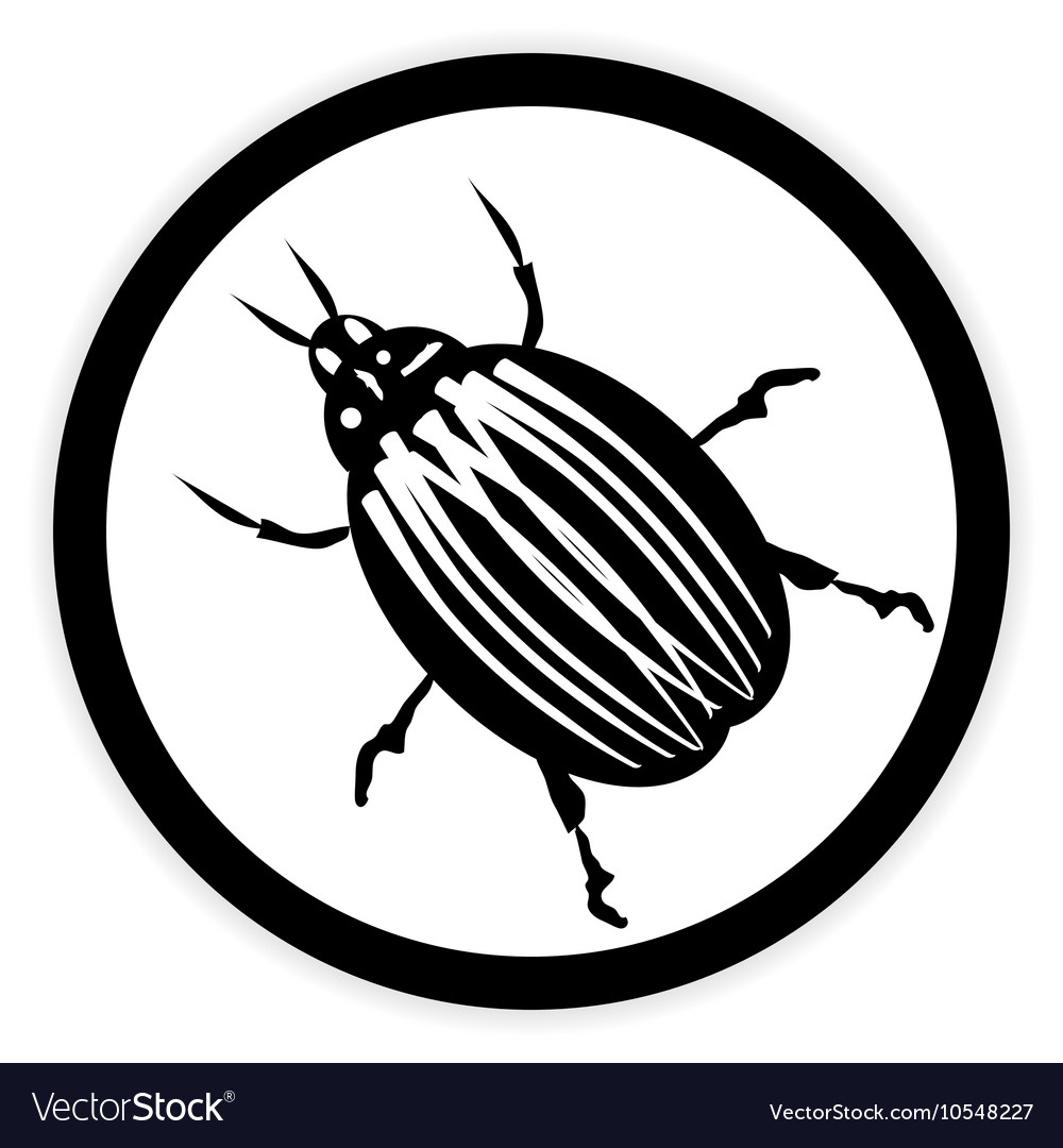 Bug button on white