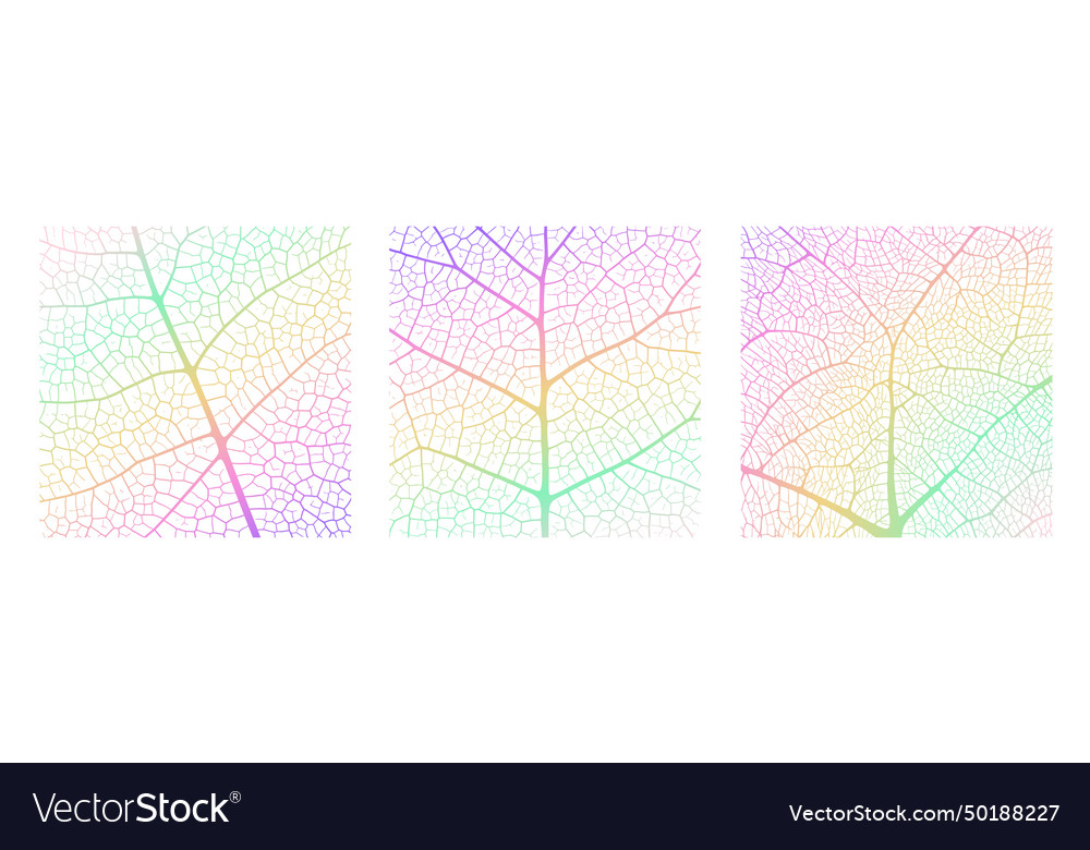 Leaf vein texture abstract background with close vector image Leaf vein texture abstract background with close