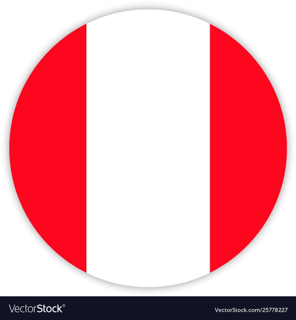 Simple round flag vector image Simple round flag