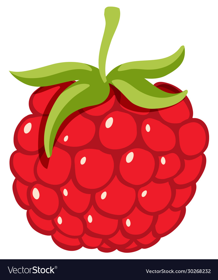 One piece raspberry on white background